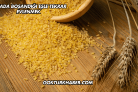 Rüyada Bulgurun İçinde Kurt Görmek