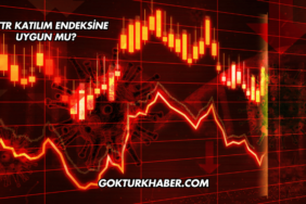 SDTTR Katılım Endeksine Uygun mu?