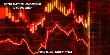 SDTTR Katılım Endeksine Uygun mu?