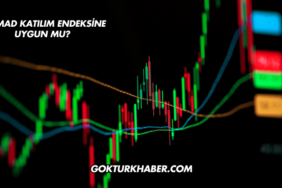SKYMAD Katılım Endeksine Uygun mu?