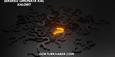 Şekersiz Limonata Kaç Kalori?