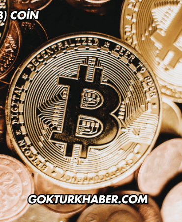 Shiba Inu (SHIB) Coin Nedir?