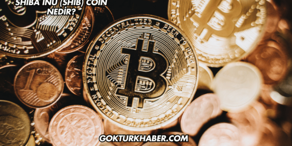 Shiba Inu (SHIB) Coin Nedir?