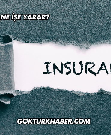 Sigorta Girişi Ne İşe Yarar?