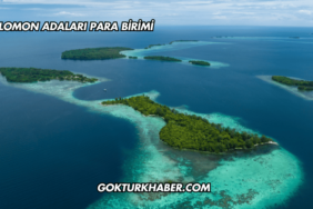 Solomon Adaları Para Birimi