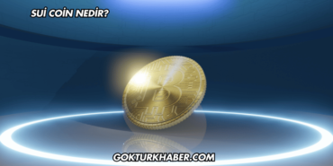 Sui Coin Nedir?