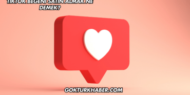 TikTok Beğeni Satın Almak Ne Demek?