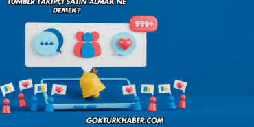 Tumblr Takipçi Satın Almak Ne Demek?