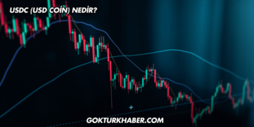 USDC (USD Coin) Nedir?