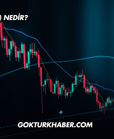 USDC (USD Coin) Nedir?