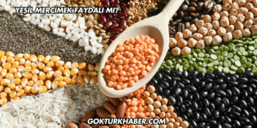 Yeşil Mercimek Faydalı mı?