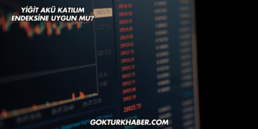 Yiğit Akü Katılım Endeksine Uygun mu?