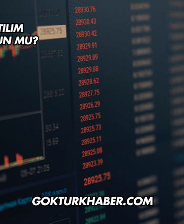 Yiğit Akü Katılım Endeksine Uygun mu?