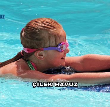 Çilek Havuz Hakkında