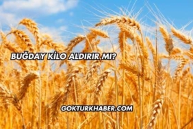 Buğday Kilo Aldırır mı?