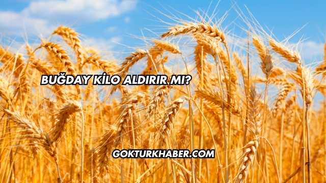 Buğday Kilo Aldırır mı?