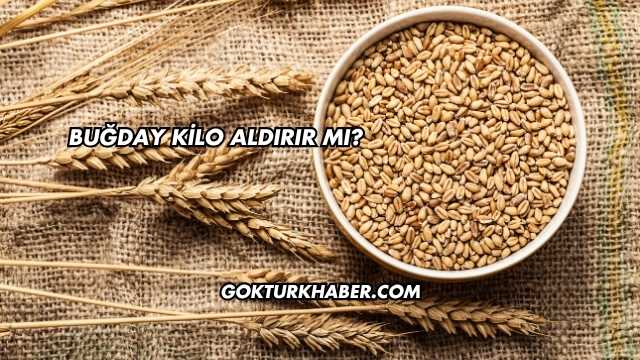 Buğday Kilo Aldırır mı?