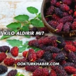 Dut Kilo Aldırır mı