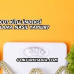 Vücut Kitle İndeksi Hesaplama Nasıl Yapılır?